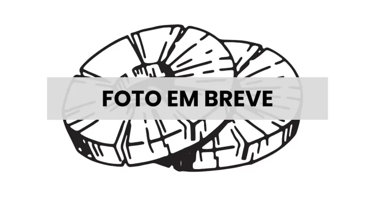 Abacaxi desidratado em rodelas premium - Relva Verde Saúde e Bem-estar