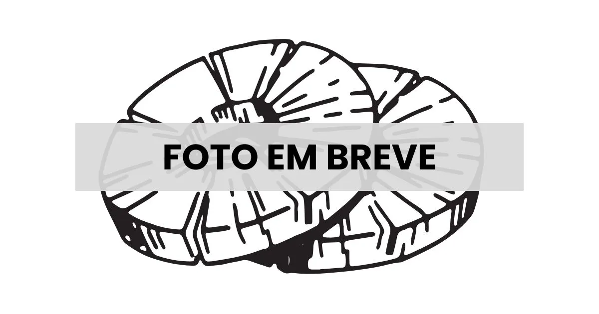 Abacaxi desidratado em rodelas premium - Relva Verde Saúde e Bem-estar