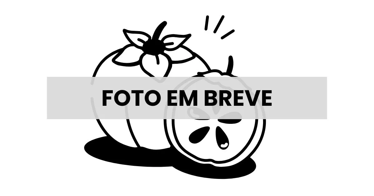 Caqui Desidratado - Relva Verde Saúde e Bem-estar