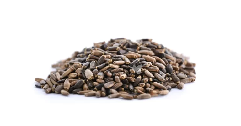 Cardo Mariano - Relva Verde Saúde e Bem-estar