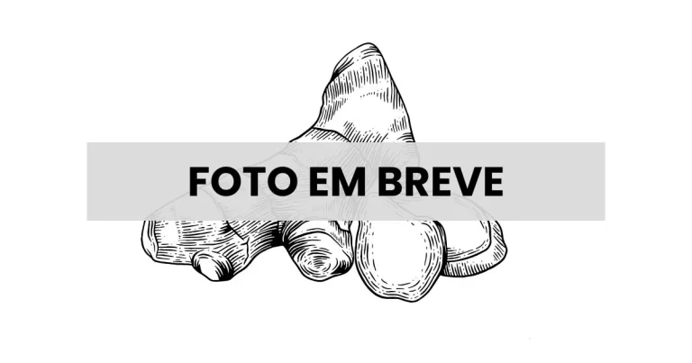 Gengibre Glaceado - Relva Verde Saúde e Bem-estar