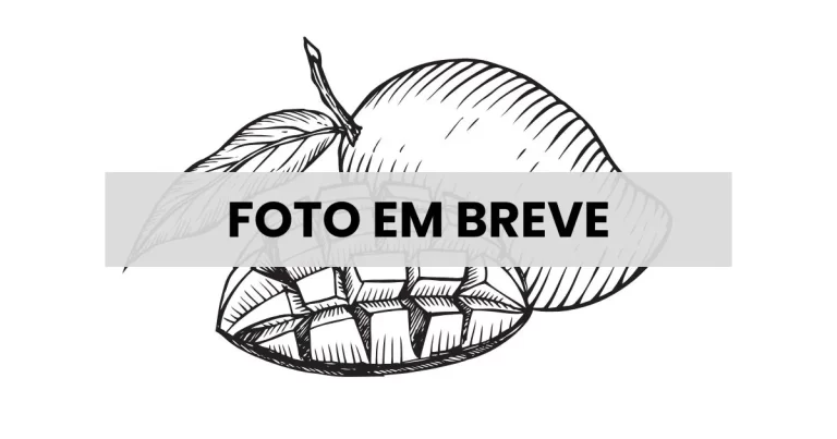 Manga desidratada premium - Relva Verde Saúde e Bem-estar