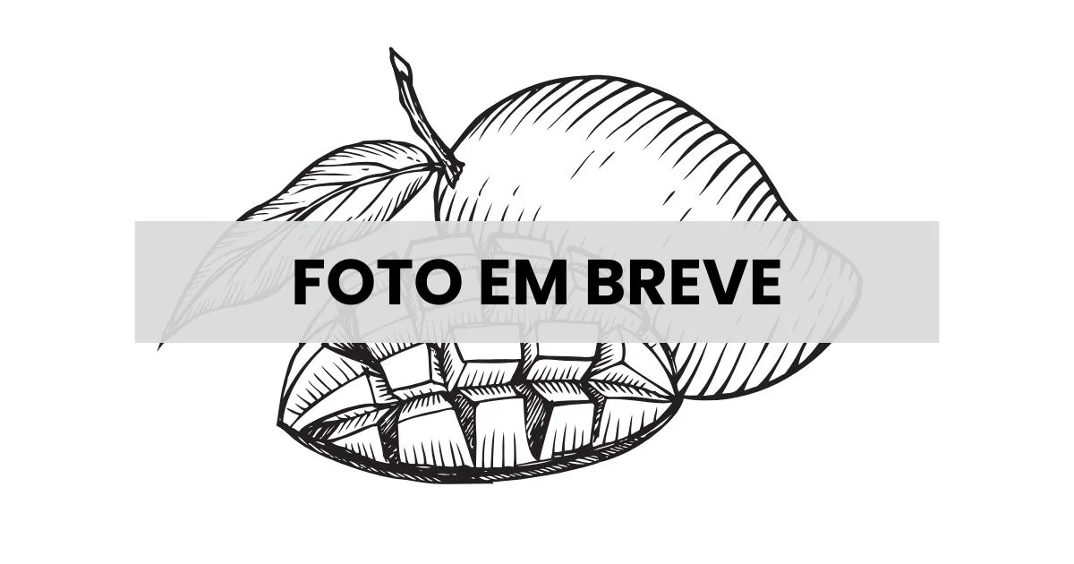 Manga desidratada premium - Relva Verde Saúde e Bem-estar