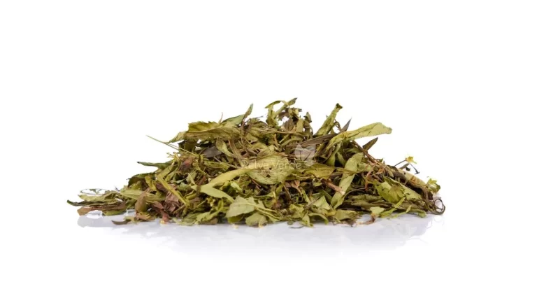 Stévia em Folhas - Relva Verde Saúde e Bem-estar