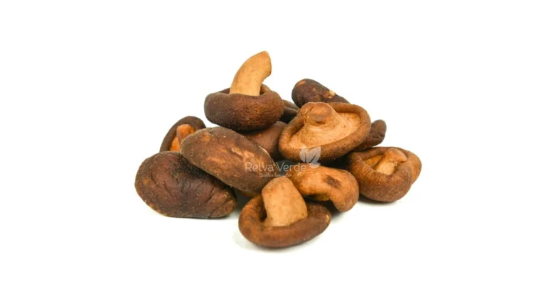 Cogumelo Shitake Chips